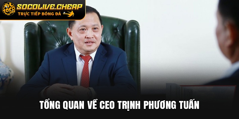 Tổng quan về CEO Trịnh Phương Tuấn