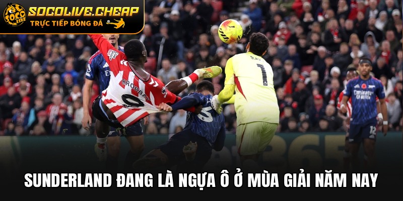 Sunderland đang là ngựa ô ở mùa giải năm nay