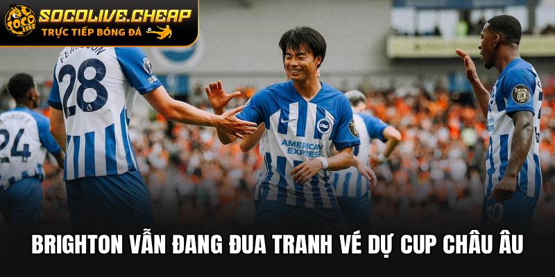 Brighton vẫn đang đua tranh vé dự Cup châu Âu