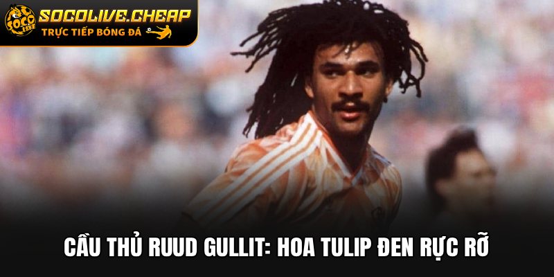 Cầu Thủ Ruud Gullit: Hoa Tulip Đen Rực Rỡ