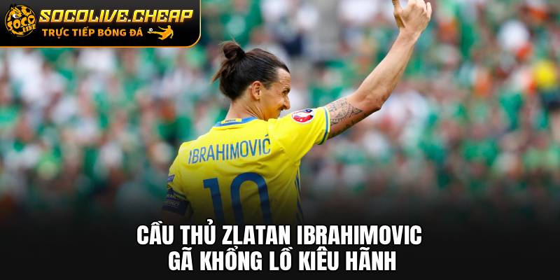 Cầu Thủ Zlatan Ibrahimovic: Gã Khổng Lồ Kiêu Hãnh