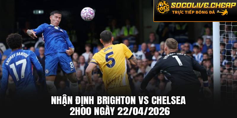 Nhận Định Brighton vs Chelsea 2h00 Ngày 22/04/2026